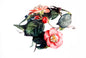 Camelia