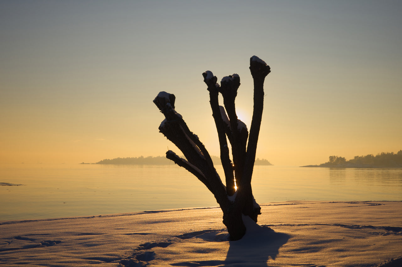 Frost 3: Naturens skuptur