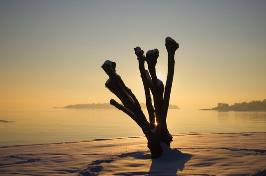 Frost 3: Naturens skuptur