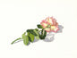 Rosegren