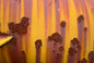Rust 2: plog
